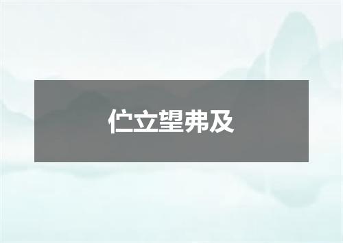 伫立望弗及