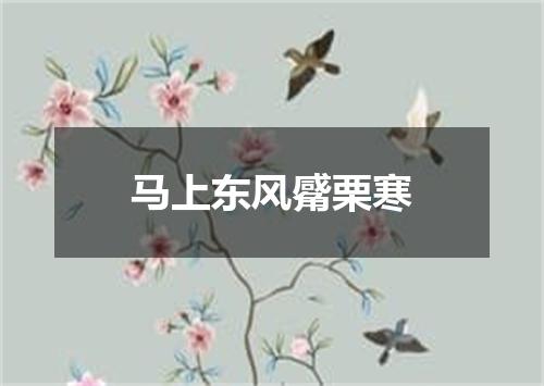 马上东风觱栗寒