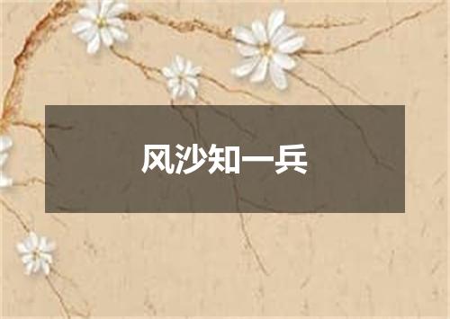 风沙知一兵