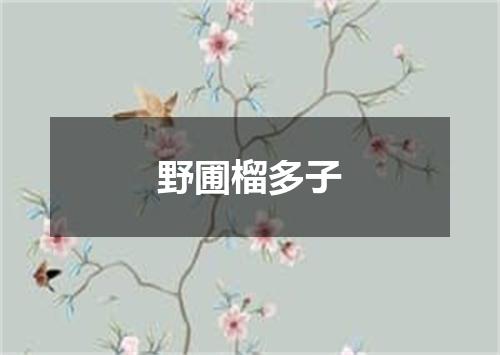 野圃榴多子