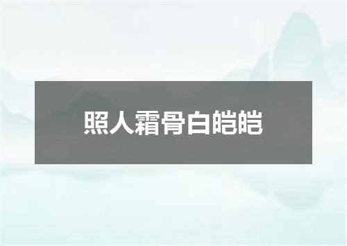 照人霜骨白皑皑