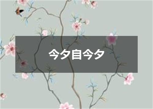 今夕自今夕