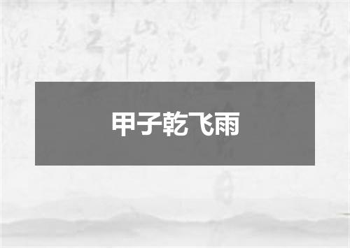 甲子乾飞雨
