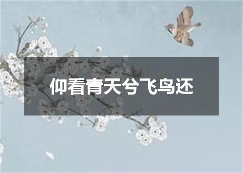 仰看青天兮飞鸟还