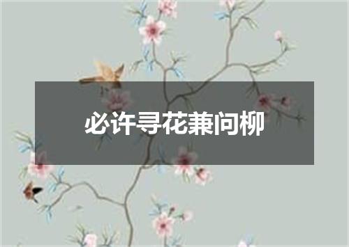 必许寻花兼问柳
