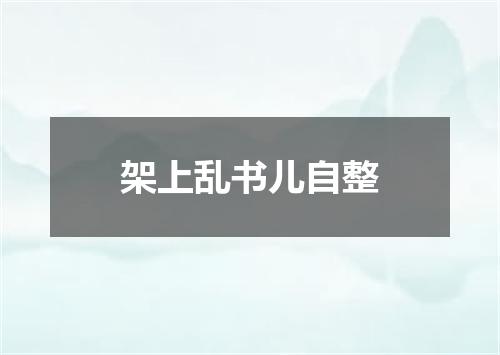 架上乱书儿自整