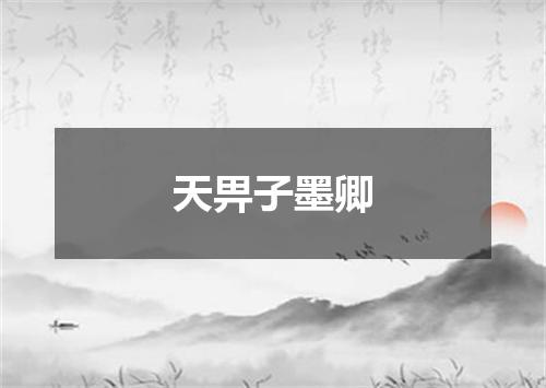 天畀子墨卿