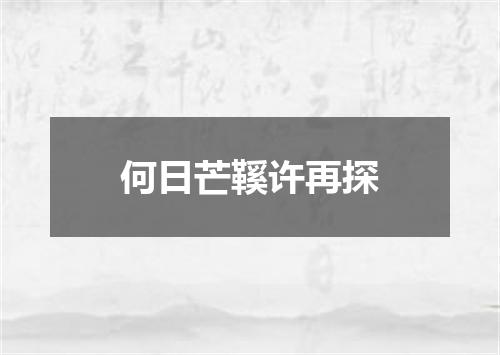 何日芒鞵许再探