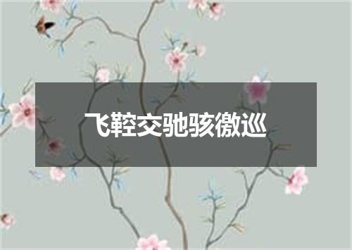 飞鞚交驰骇徼巡