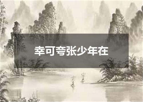 幸可夸张少年在