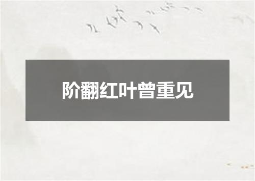 阶翻红叶曾重见