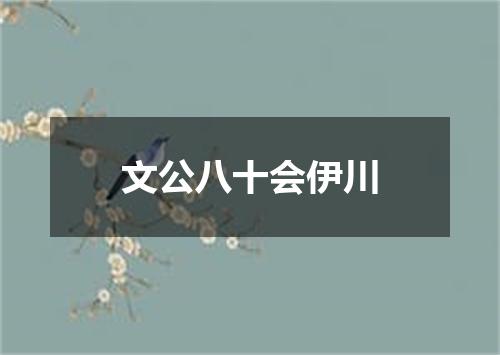文公八十会伊川