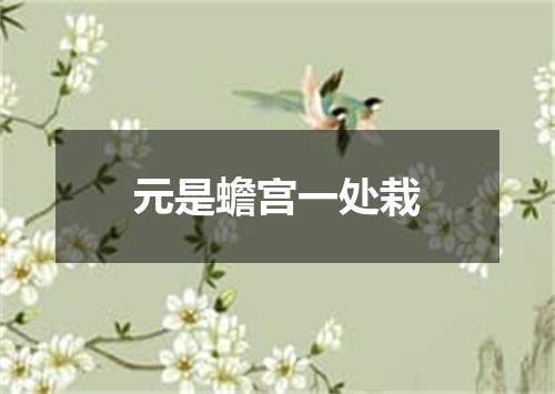 元是蟾宫一处栽