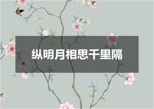 纵明月相思千里隔