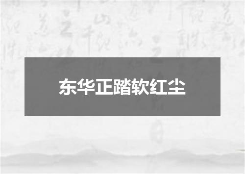 东华正踏软红尘