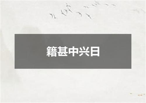 籍甚中兴日