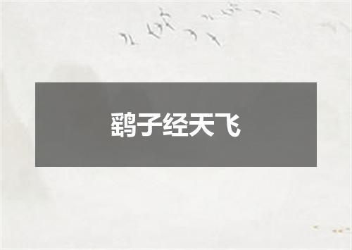 鹞子经天飞