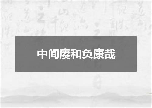 中间赓和负康哉