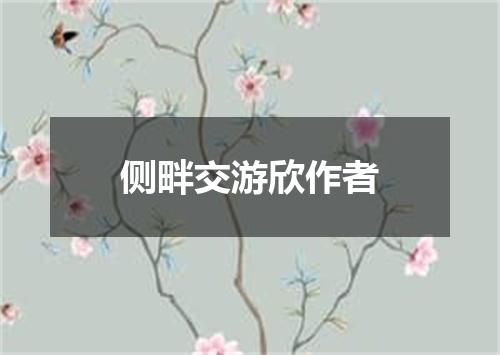 侧畔交游欣作者