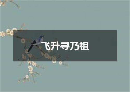 飞升寻乃祖