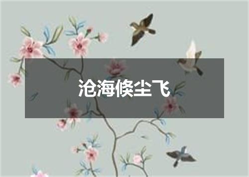 沧海倏尘飞