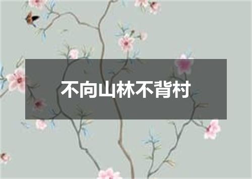 不向山林不背村