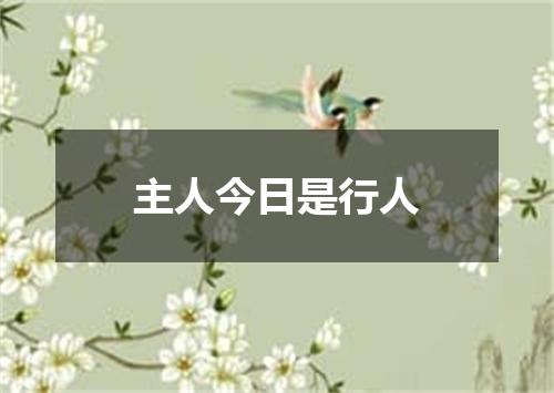 主人今日是行人