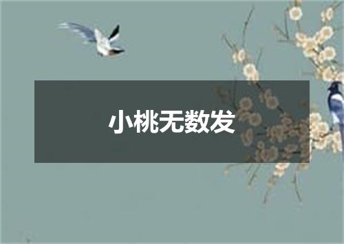 小桃无数发