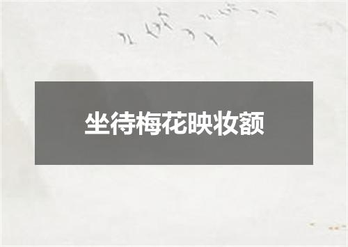 坐待梅花映妆额
