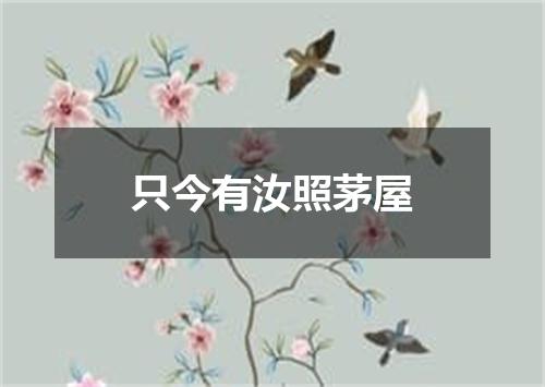 只今有汝照茅屋