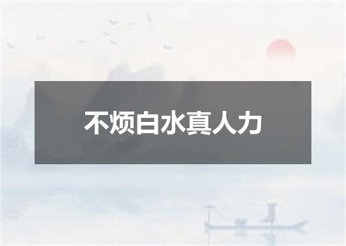 不烦白水真人力