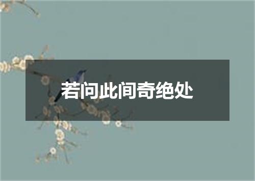 若问此间奇绝处