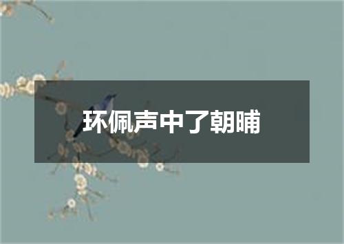 环佩声中了朝晡