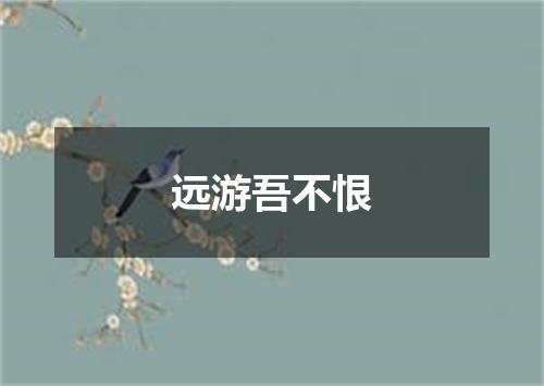 远游吾不恨