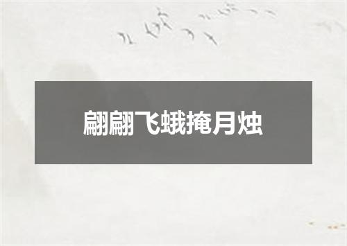 翩翩飞蛾掩月烛