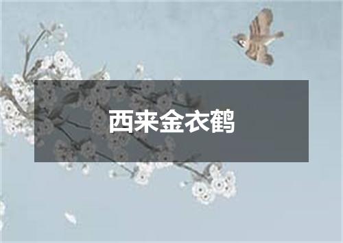 西来金衣鹤