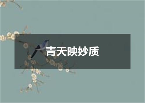 青天映妙质