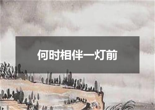 何时相伴一灯前