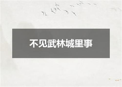 不见武林城里事