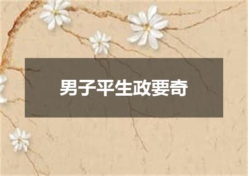 男子平生政要奇