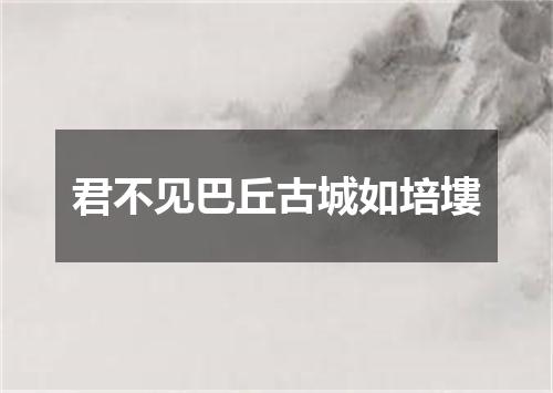 君不见巴丘古城如培塿