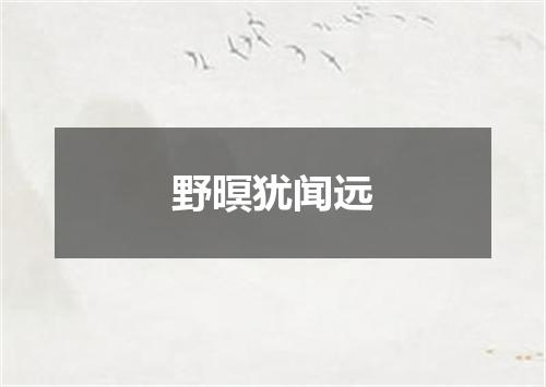 野暝犹闻远