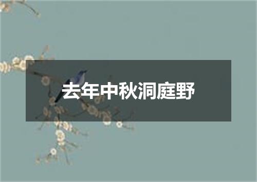 去年中秋洞庭野
