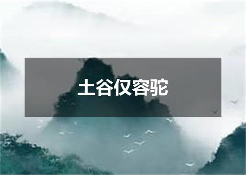 土谷仅容驼