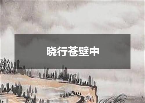 晓行苍壁中