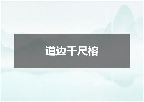 道边千尺榕