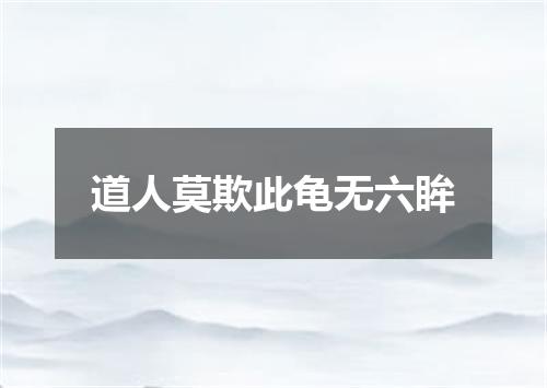 道人莫欺此龟无六眸