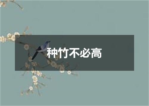 种竹不必高