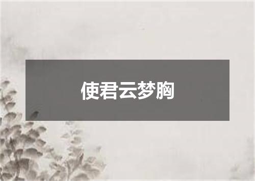 使君云梦胸