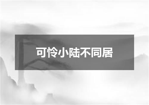 可怜小陆不同居